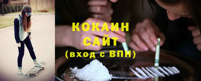 COCAIN Fish Scale  купить закладку  Лыткарино 